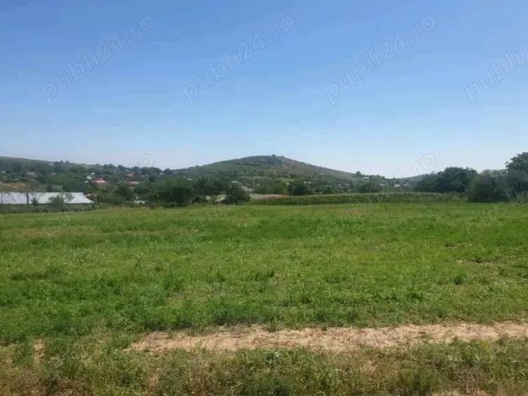 Teren de 7000 mp, în Telița