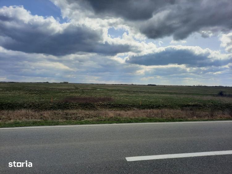 Teren de 13000 mp, în Sânmihaiu Român