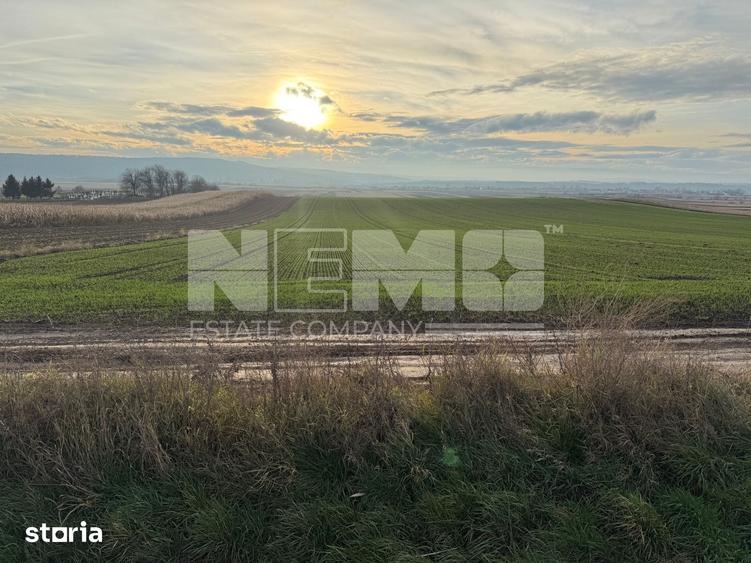 Teren de 1240 mp, în Cacica