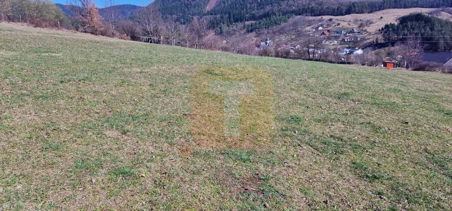 Teren Construcții intravilan de 4000 mp, în Alexandru cel Bun