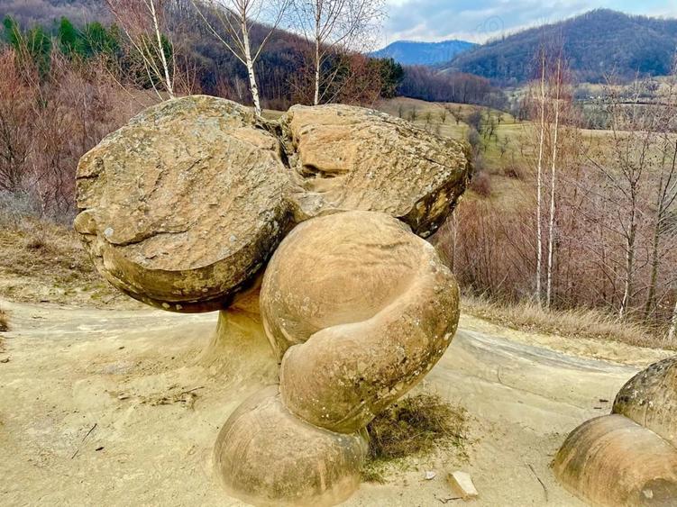 Teren în Cozieni
