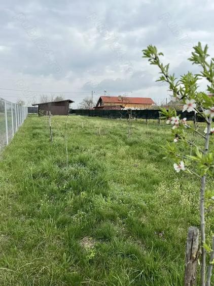 Teren de 900 mp, în Morteni