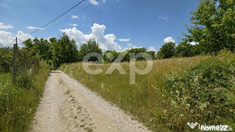 Teren în Poiana Mărului