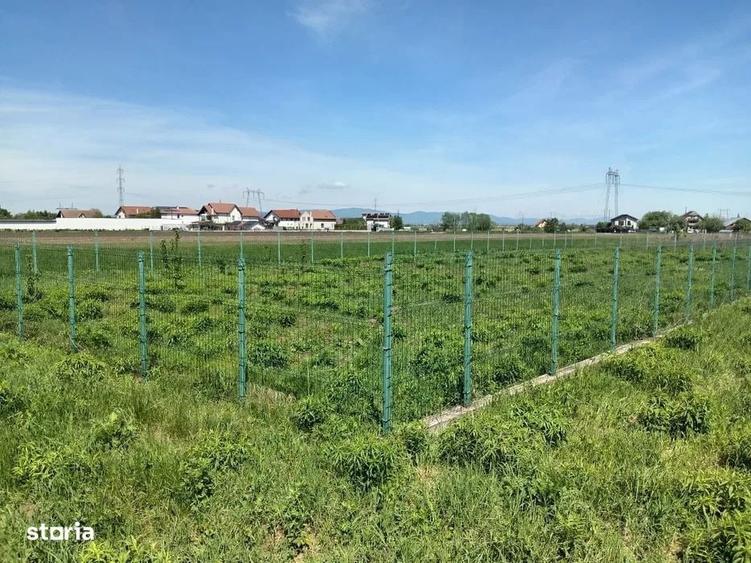 Teren Intravilan 837 mp Stupini - 3