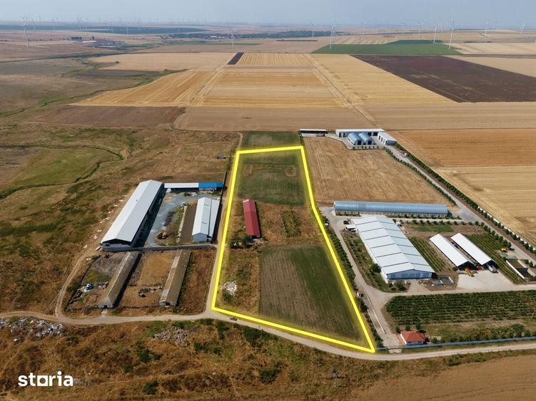 Teren de 29560 mp, în Cogealac