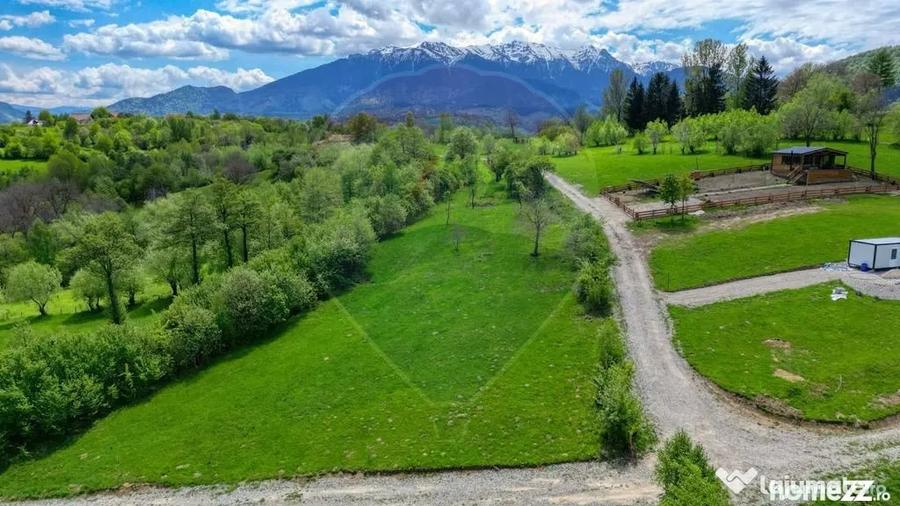 Teren în Central