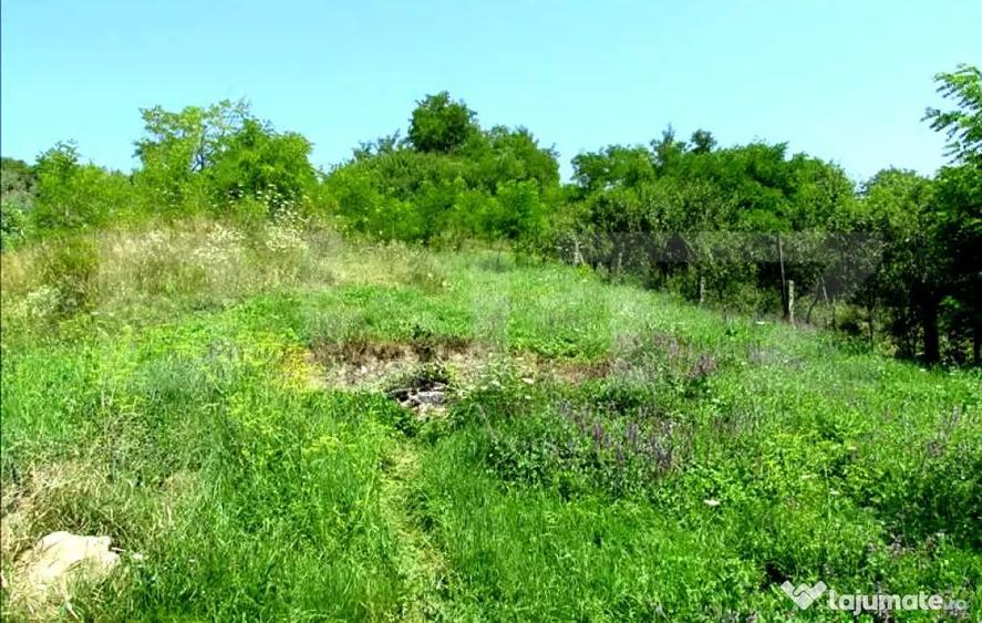Investitie !Teren extravilan,15554 mp, zona in plina dezvolt - 1