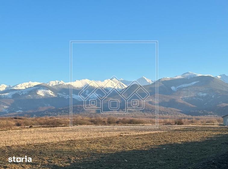 Teren de 2000 mp, în Arpașu de Jos