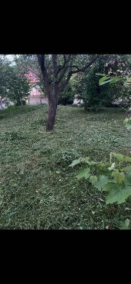 Spațiu comercial, în Ultracentral