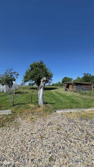 Casă cu 3 camere cu Teren 4400 Mp în Valea Vinului