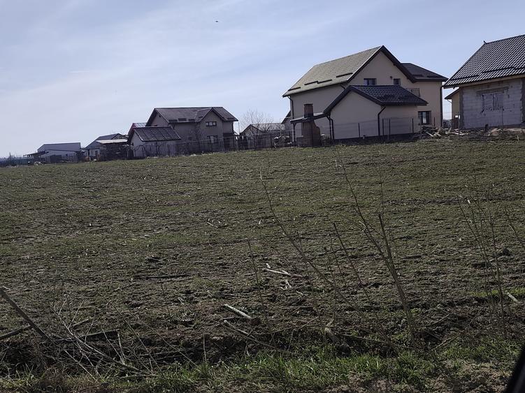 Teren Construcții extravilan de 23200 mp, în Săbăreni
