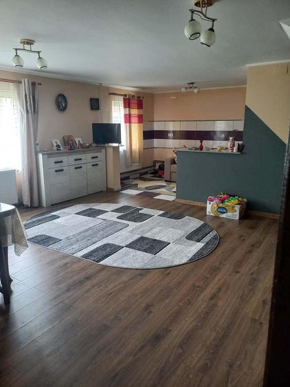 Casă individuală cu 4 camere cu Canalizare în Remeți