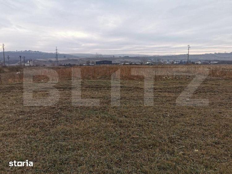 Teren de 5900 mp, în Pătrăuți