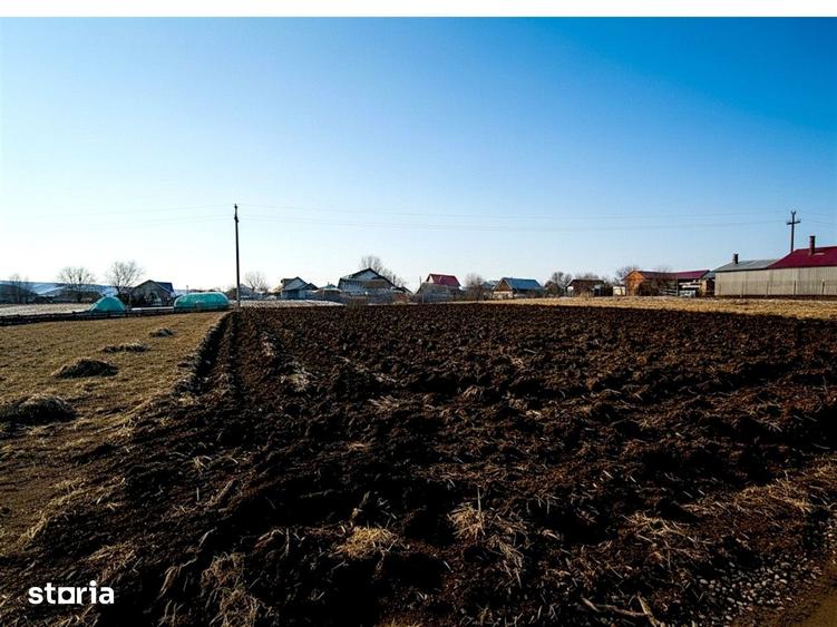 Teren de 991 mp, în Burdujeni