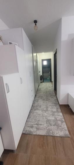 Apartament cu 2 camere decomandat în Paltin
