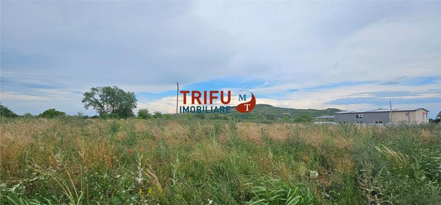 Teren Construcții intravilan de 9087 mp, în Ighiu