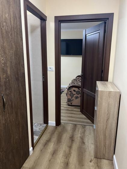 Apartament cu 2 camere în Nufărul