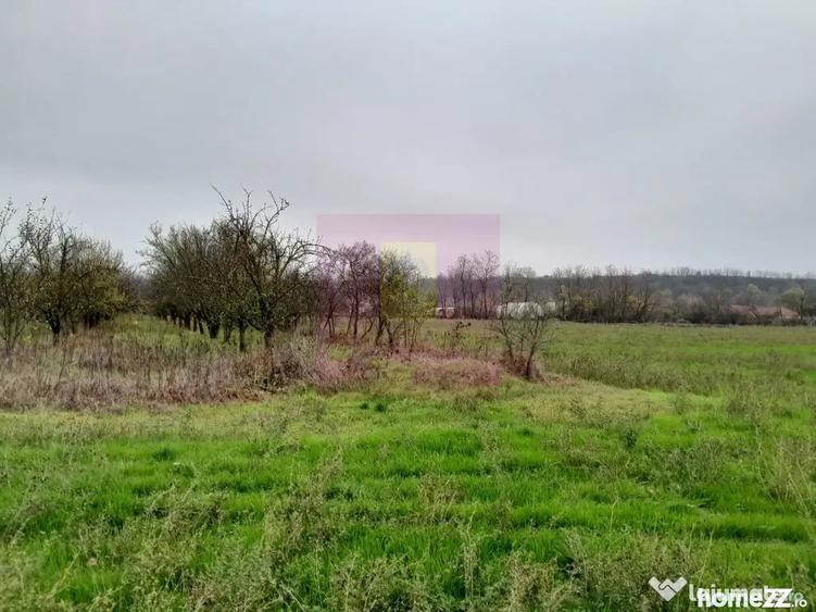Casă cu 3 camere cu Teren 15000 Mp în Bărcănești