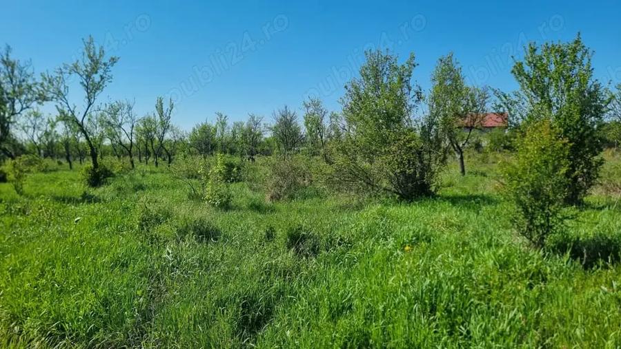 Teren de 800 mp, în Glâmbocu