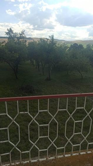 Casă individuală cu 4 camere cu Teren 12530 Mp în Panticeu