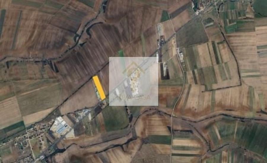 Teren Construcții intravilan de 7959 mp, în Nojorid