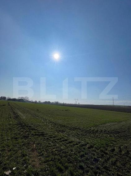 Teren Construcții intravilan de 7300 mp, în Fălticeni