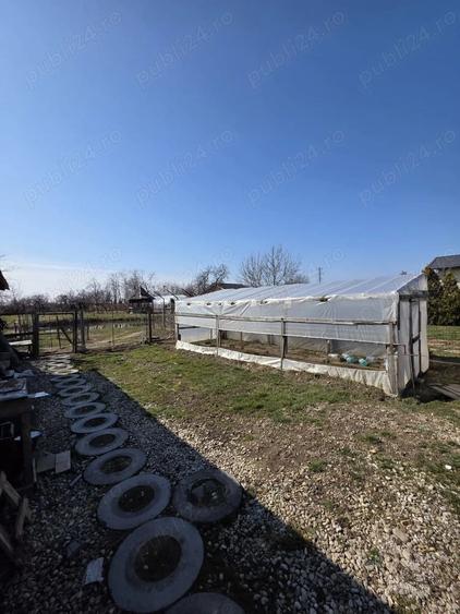 Casă cu Teren 2579 Mp în Colanu