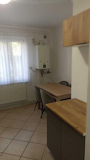 Apartament 2 camere, parter | Pet Friendly (doar pisici) Zona cartier Sasar - 5