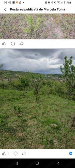 Teren de 5800 mp, în Central