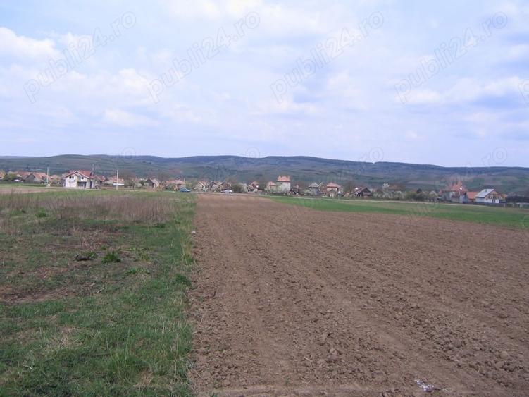 Teren în Central