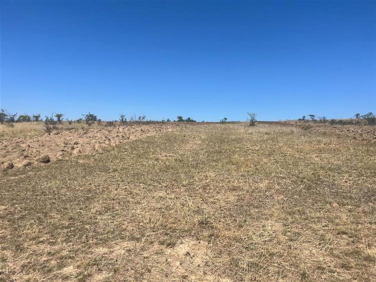 Teren agricol extravilan de 27400 mp, în Holod