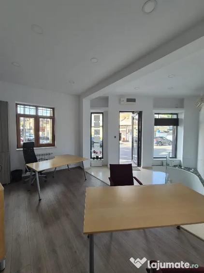 Proprietar,sp.comercial,cabinet,salon,agentie,Tineretului-Parcul Carol - 1