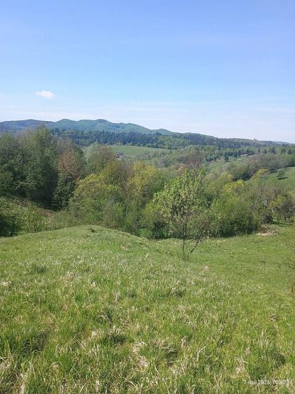 Teren de 10000 mp, în Bughea de Sus
