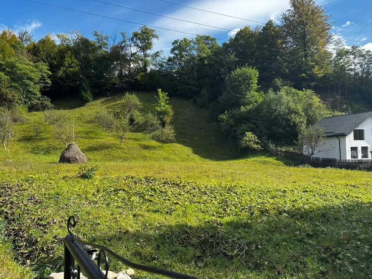 Teren de 2500 mp, în Central