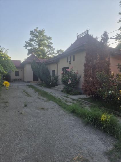 Casă cu 4 camere în Costești