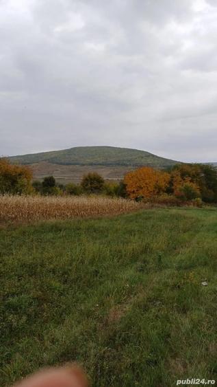 Teren de 4800 mp, în Dumești