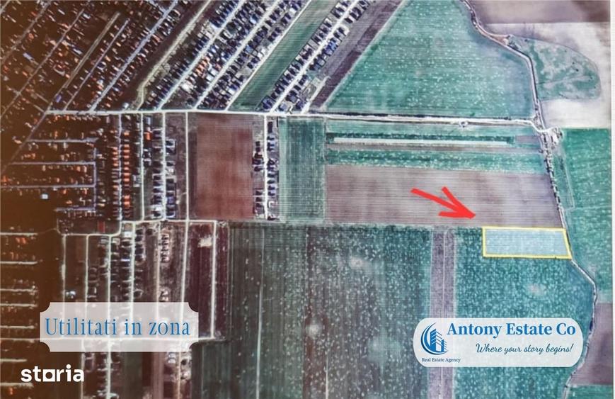 Teren de 14600 mp, în Sântandrei