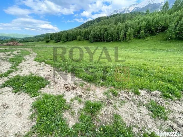Teren de 12150 mp, în Plaiul Foii