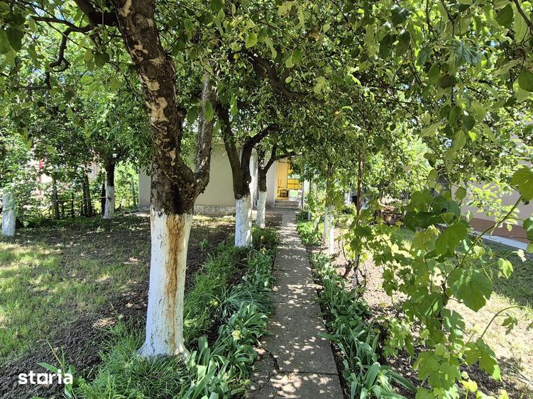 Casă cu 2 camere cu Teren 616 Mp în Drăgășani
