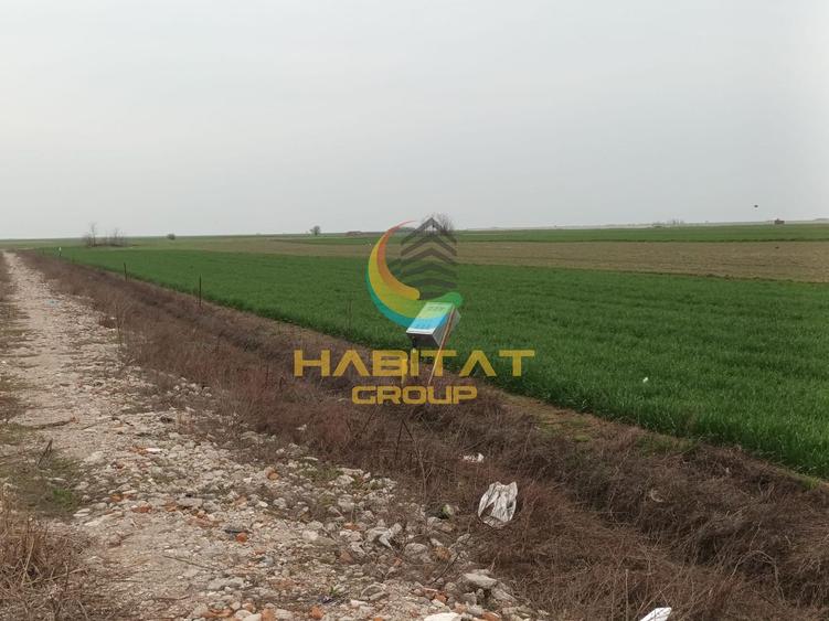 Teren Construcții intravilan de 274 mp, în Berceni