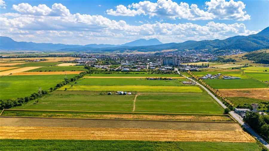 Teren Construcții intravilan de 10000 mp, în Periferie