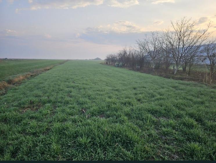 Teren Construcții intravilan de 5000 mp, în Central