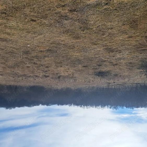 Teren de 1000 mp, în Câmpenești