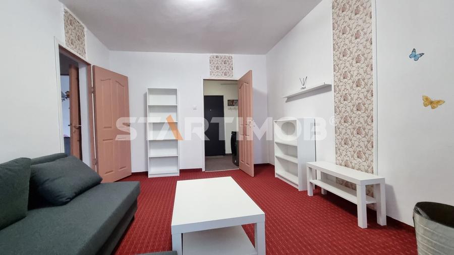 Apartament mobilat doua camere Zizinului - 29
