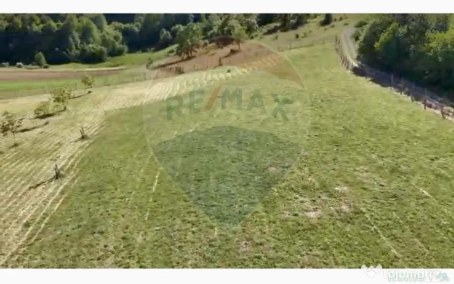 Teren în Șuncuiuș