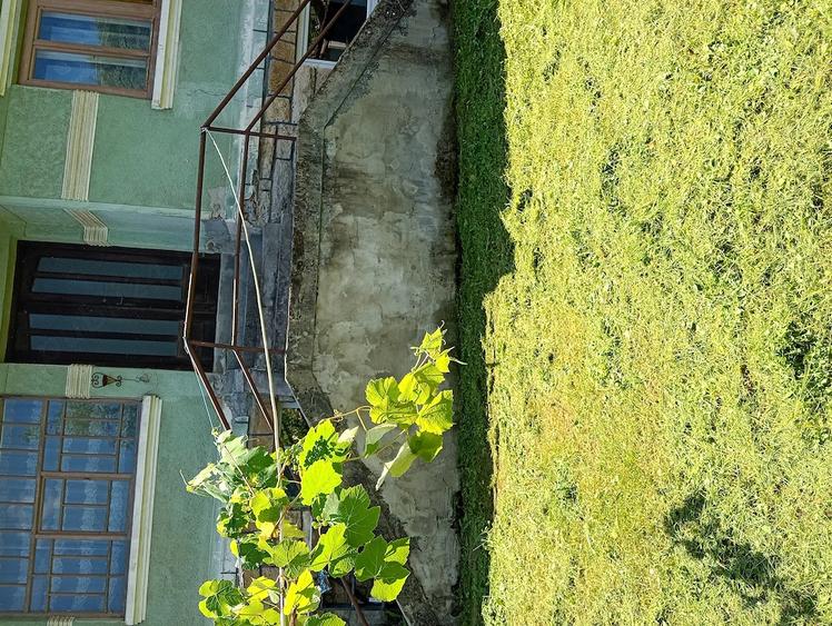 Casă cu 3 camere cu Teren 3600 Mp în Geoagiu-Băi