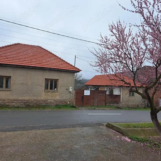 Casă cu 2 camere cu Teren 2200 Mp în Urviș de Beiuș