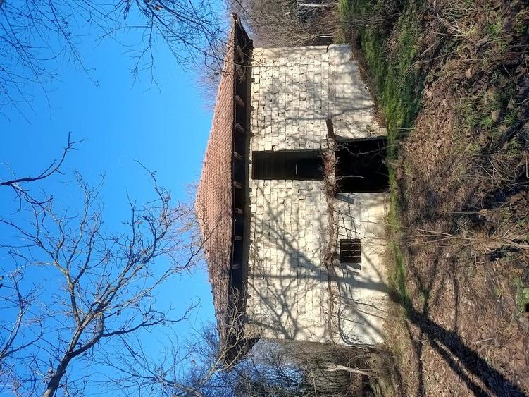 Casă cu Teren 800 Mp în Central