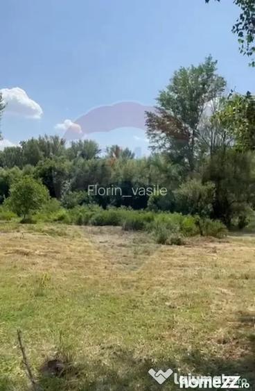Teren-5000mp DN Ganeasa,sat Sindrilita,T9/Parcela 32/37 - Bucuresti (Bucuresti-Ilfov)