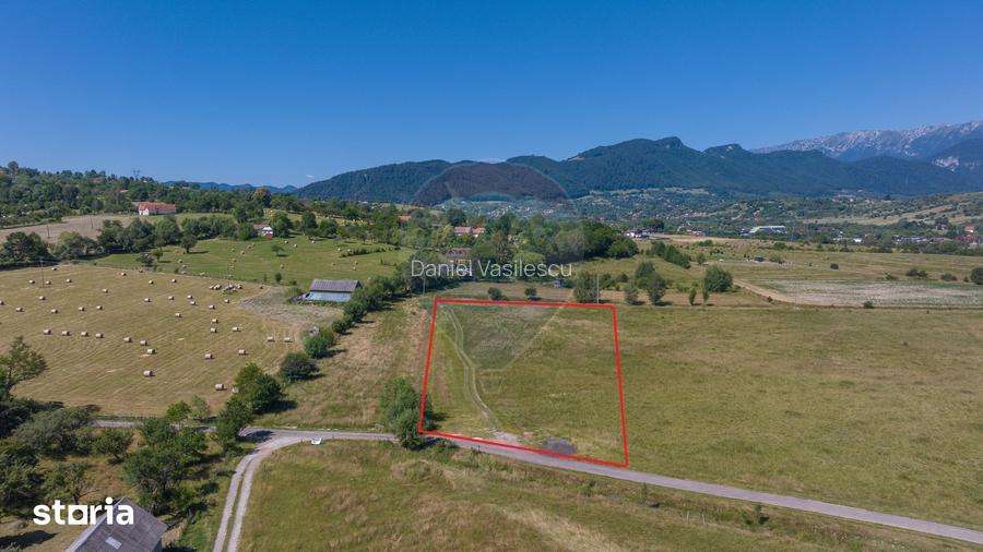 Teren Bran -Sohodol, Strada La mesteceni, 6900mp